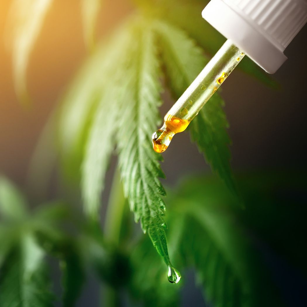 CBD for Pain Management: What You Need to Know