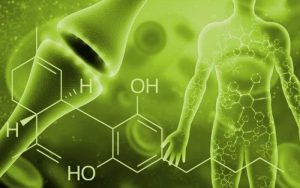 4 Potential Health Benefits of Using a CBN Tinctures