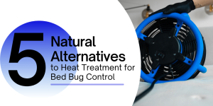 5 Natural Alternatives to Heat Treatment for Bed Bug Control