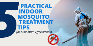 5 Practical Indoor Mosquito Treatment Tips for Maximum Effectiveness