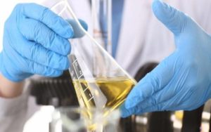 CBD Wellness: Exploring Hemp Tincture Benefits