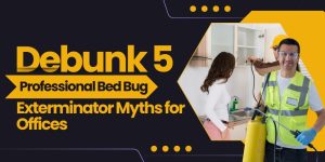 Debunk 5 Professional Bed Bug Exterminator Myths for Offices
