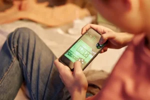 Online Game in Japan